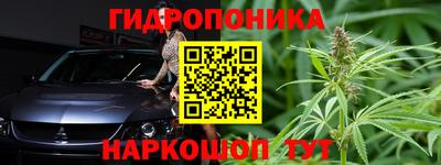 индика Усть-Илимск