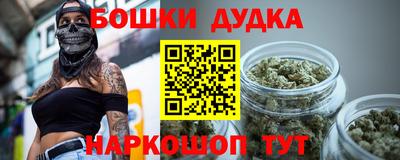 индика Усть-Илимск