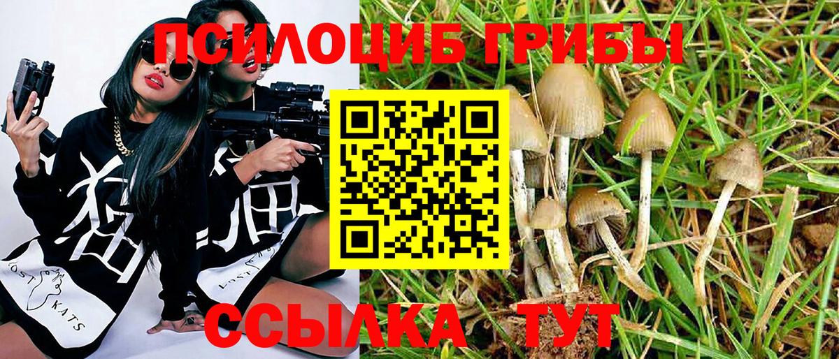 Галлюциногенные грибы мухоморы Надым